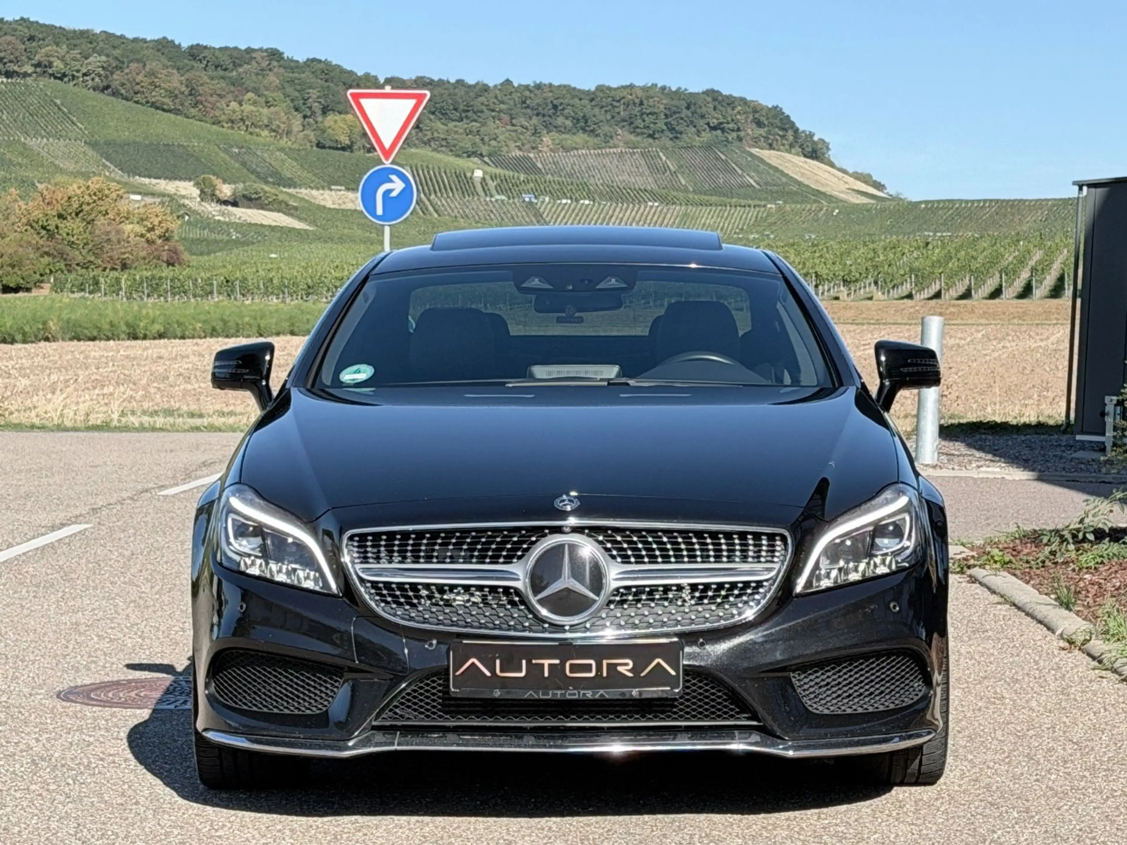 Mercedes-Benz CLS 350 d BlueTec 4Matic Final Edition VOLL AMG — photo 3