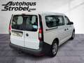 Volkswagen Caddy Life 2.0 TDI "Eco Profi" AHK Standh. Weiß - thumbnail 5