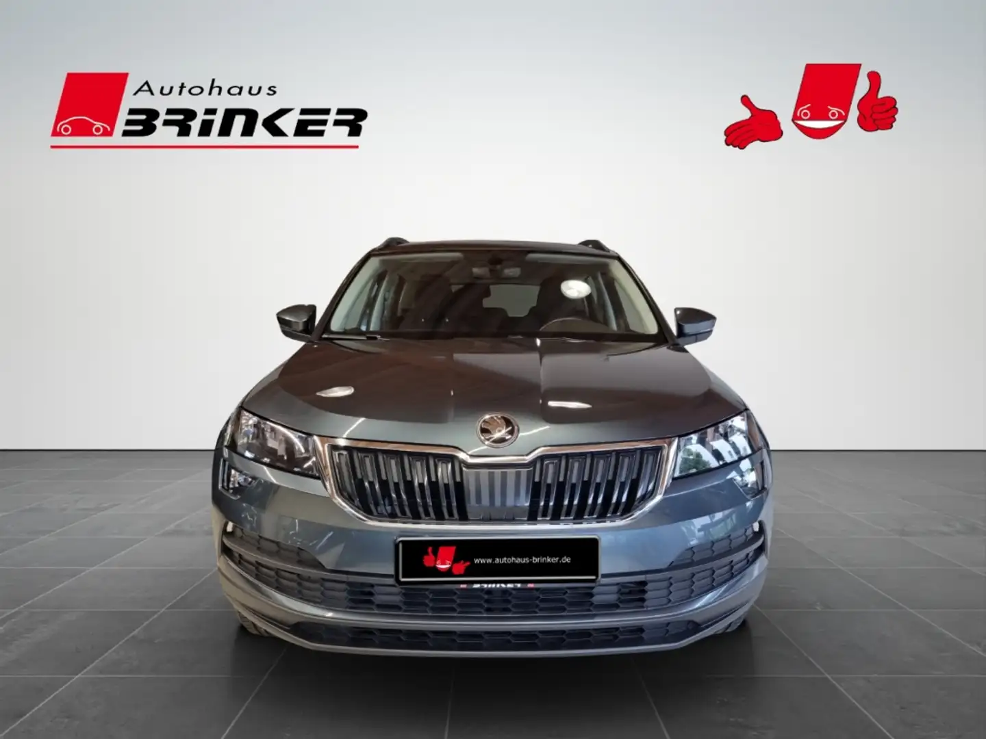 Skoda Karoq Ambition 1.0 TSI EU6d Grau - 2