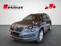 Skoda Karoq Ambition 1.0 TSI EU6d Grau - thumbnail 3