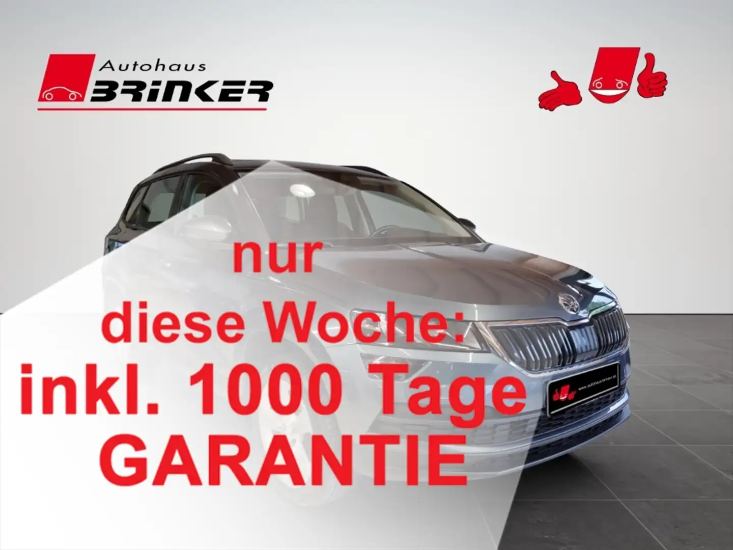 Skoda Karoq Ambition 1.0 TSI EU6d Grau - 1