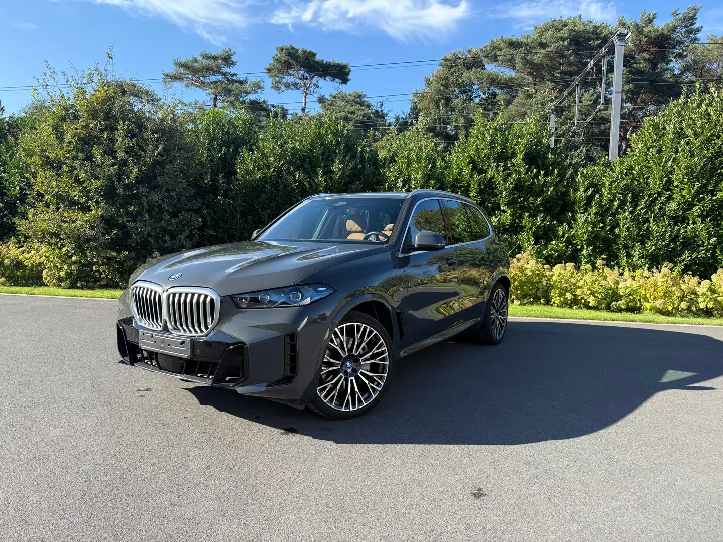 BMW X5 xdrive50 M pack Gris - 1