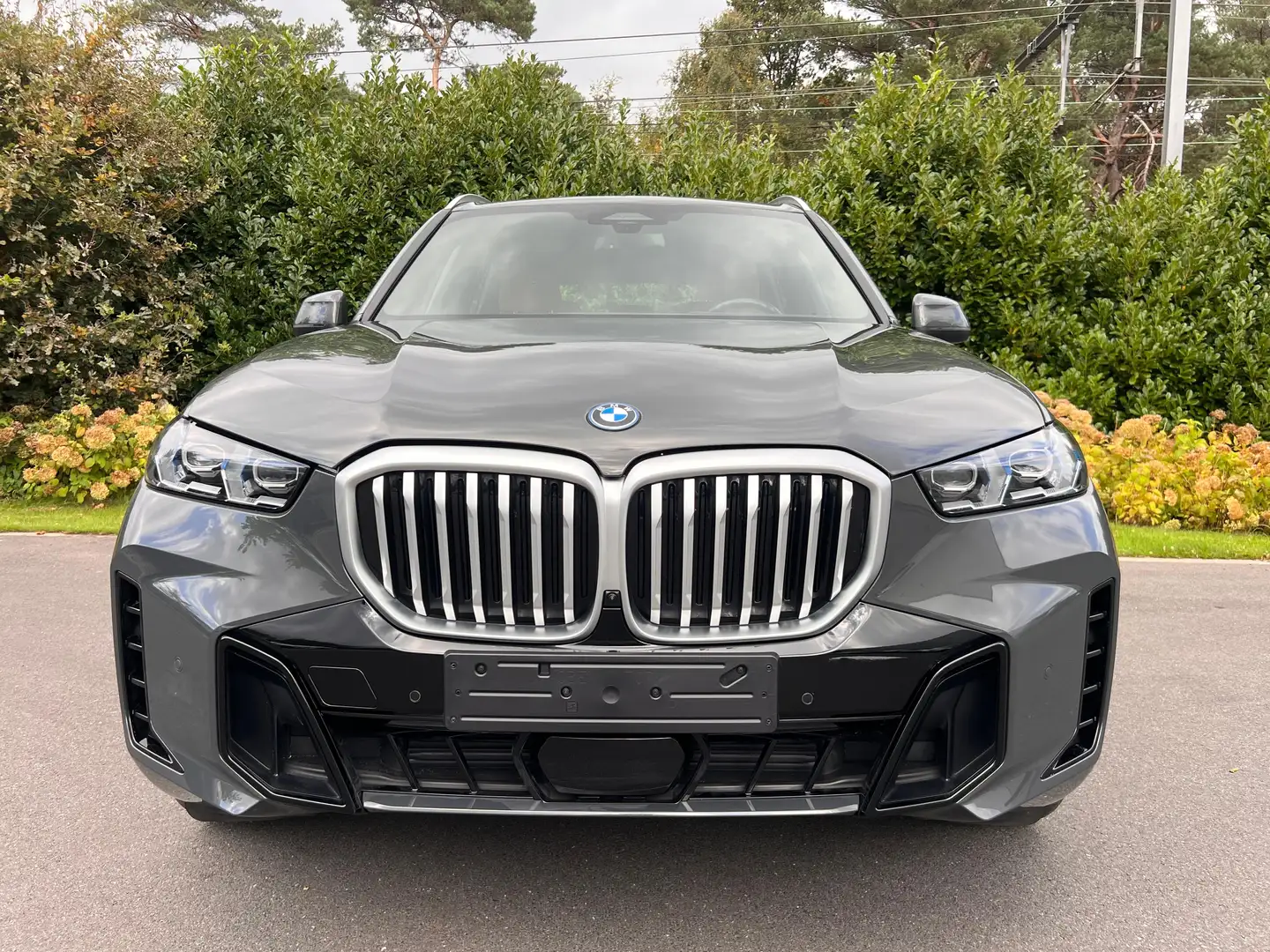 BMW X5 xdrive50 M pack Gris - 2