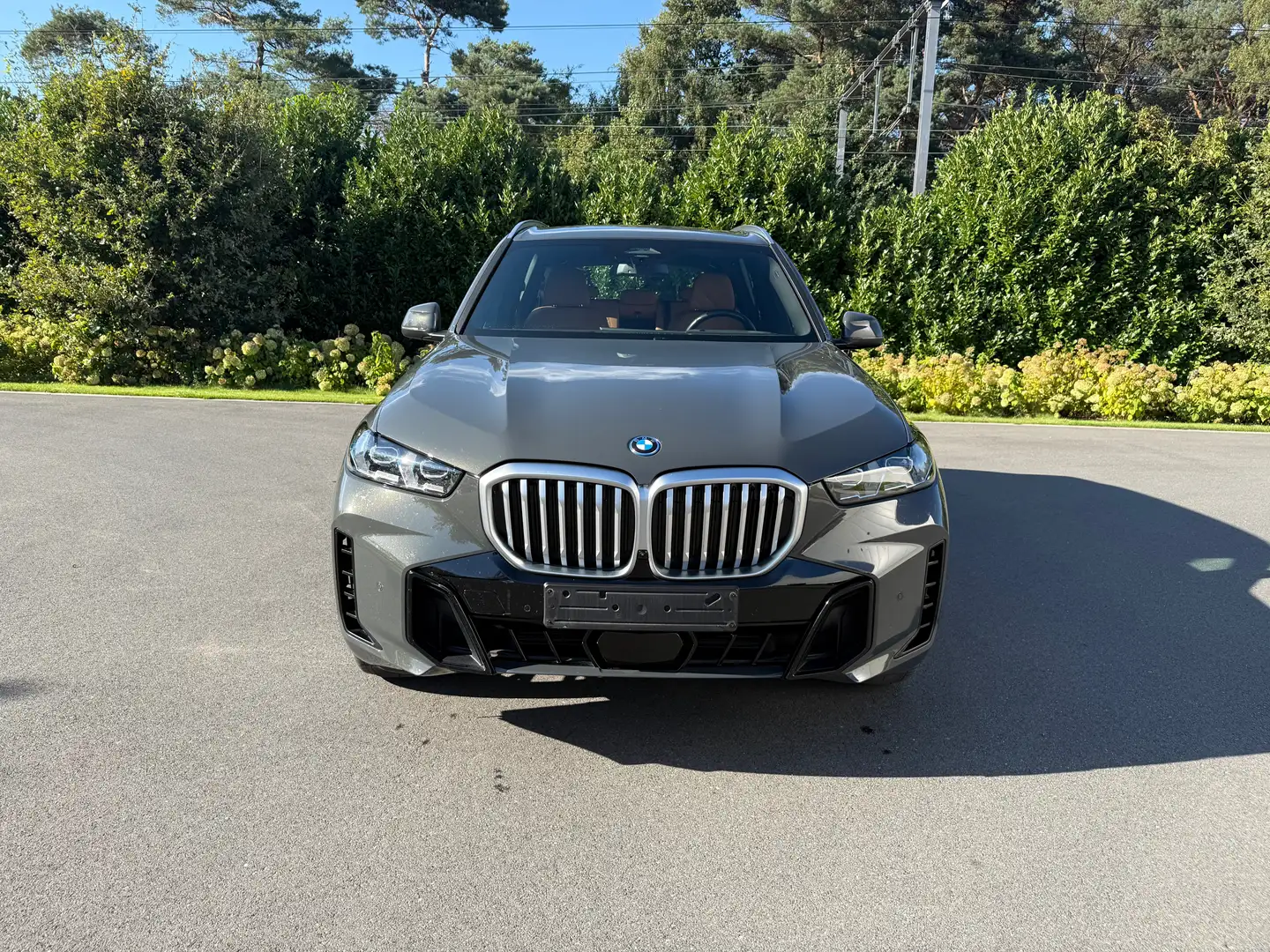 BMW X5 xdrive50 M pack Gris - 2