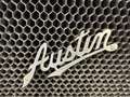 Austin Sonstige Chummy Club Tourer Blau - thumbnail 13