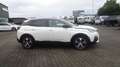 Peugeot 3008 1,5 BlueHDi 130 S&S EAT8 GT Line Aut. Weiß - thumbnail 4