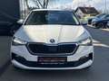 Skoda Scala 1,6 TDI Ambition DSG Weiß - thumbnail 2