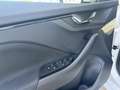 Skoda Scala 1,6 TDI Ambition DSG Weiß - thumbnail 9