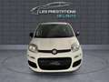 Fiat Panda III 1.2 8v 69ch Pop Blanc - thumbnail 2