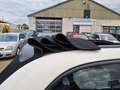 Fiat 500 0.9 TwinAir Lounge Cabrio 3-Drs Airco! Bj:2014 Wit - thumbnail 13