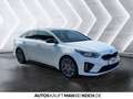 Kia ProCeed / pro_cee'd Proceed 1.6 TGDI GT  LED SHZ R-KAM PDC NAV LHZ top Weiß - thumbnail 5
