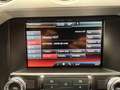 Ford Mustang GT*NAP AGA*EIBACH*KAMERA* Rood - thumbnail 15