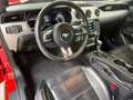 Ford Mustang GT*NAP AGA*EIBACH*KAMERA* Rood - thumbnail 8