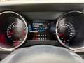 Ford Mustang GT*NAP AGA*EIBACH*KAMERA* Rood - thumbnail 14