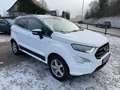 Ford EcoSport ST-Line 125PS Benzin TOP ZUSTAND!!! Weiß - thumbnail 3