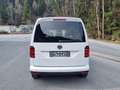 Volkswagen Caddy Kombi Generation Four 2,0 TDI 4MOTION DSG**AHK*... Weiß - thumbnail 4