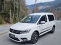 Volkswagen Caddy Kombi Generation Four 2,0 TDI 4MOTION DSG**AHK*... Weiß - thumbnail 8