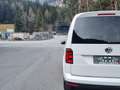 Volkswagen Caddy Kombi Generation Four 2,0 TDI 4MOTION DSG**AHK*... Weiß - thumbnail 5
