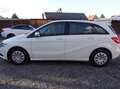 Mercedes-Benz B 180 BlueEfficiency **Licht-u. Regensensor** Blanc - thumbnail 8