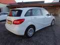 Mercedes-Benz B 180 BlueEfficiency **Licht-u. Regensensor** Blanc - thumbnail 5