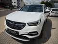 Opel Grandland X AHK, Leder, NAVI, 63932km!!! Blanco - thumbnail 5