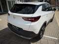 Opel Grandland X AHK, Leder, NAVI, 63932km!!! Blanco - thumbnail 12