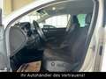 Skoda Superb Combi Elegance 1.Hand*Xenon*AHK*Navi*PTS Weiß - thumbnail 10