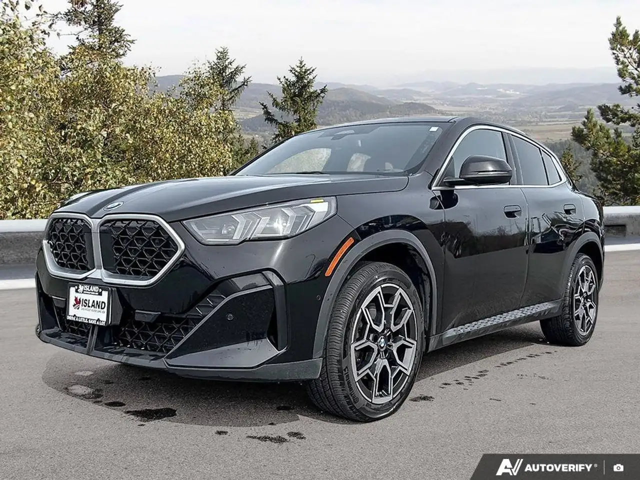 2025 BMW X2