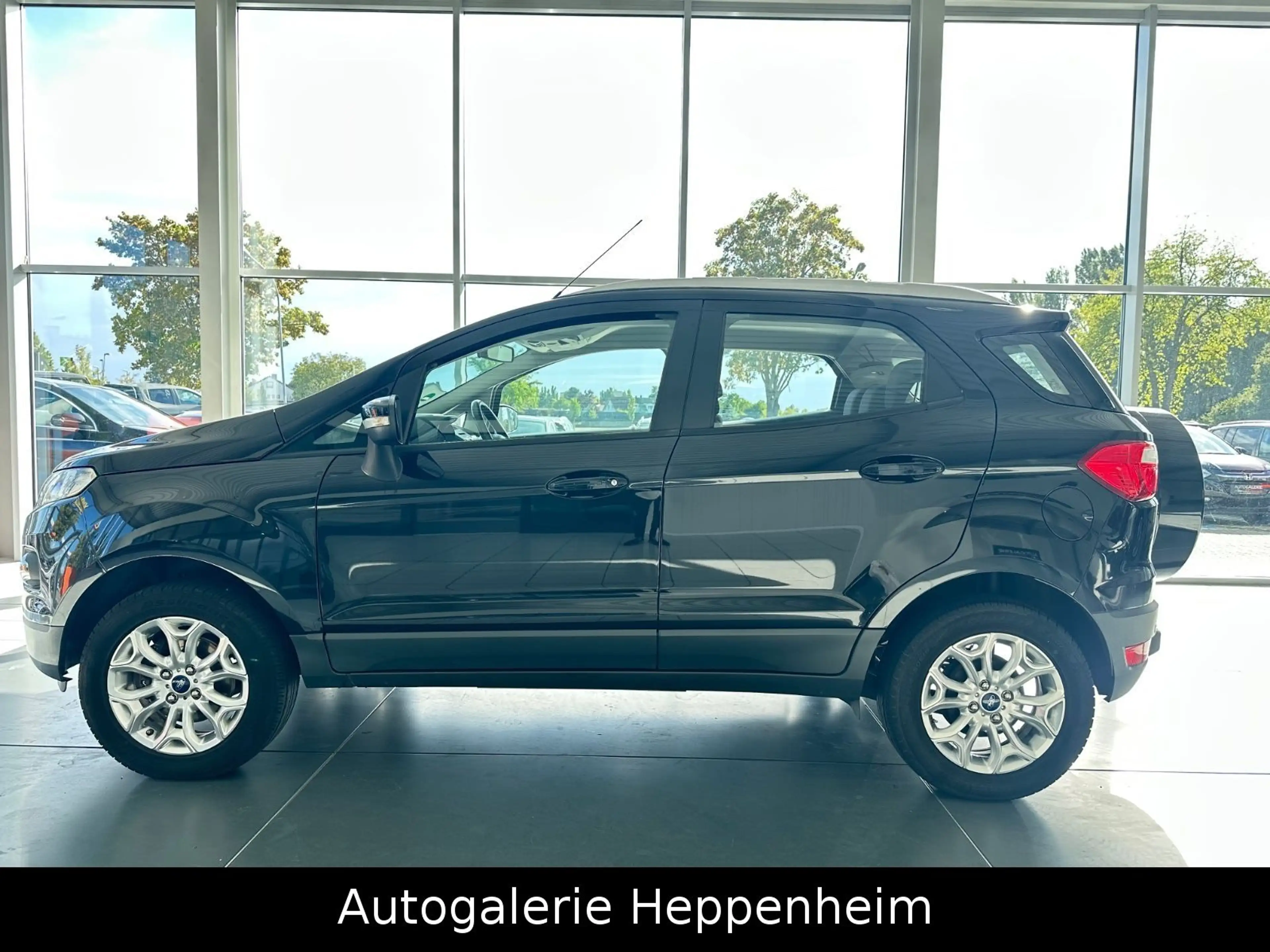 Ford EcoSport Titanium — photo 8