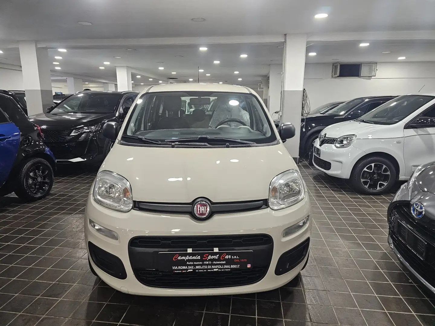 Fiat Panda LOUNGE 0.9 TWINAIR 85CV BENZ/METANO - UFFICIALE Bianco - 2
