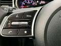 Kia Ceed / cee'd ceed 1,5 TGDI Gold 48V DCT Grün - thumbnail 17