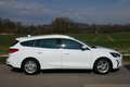 Ford Focus Cool&Connect Weiß - thumbnail 3