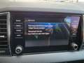 Skoda Karoq Ambition Grau - thumbnail 33