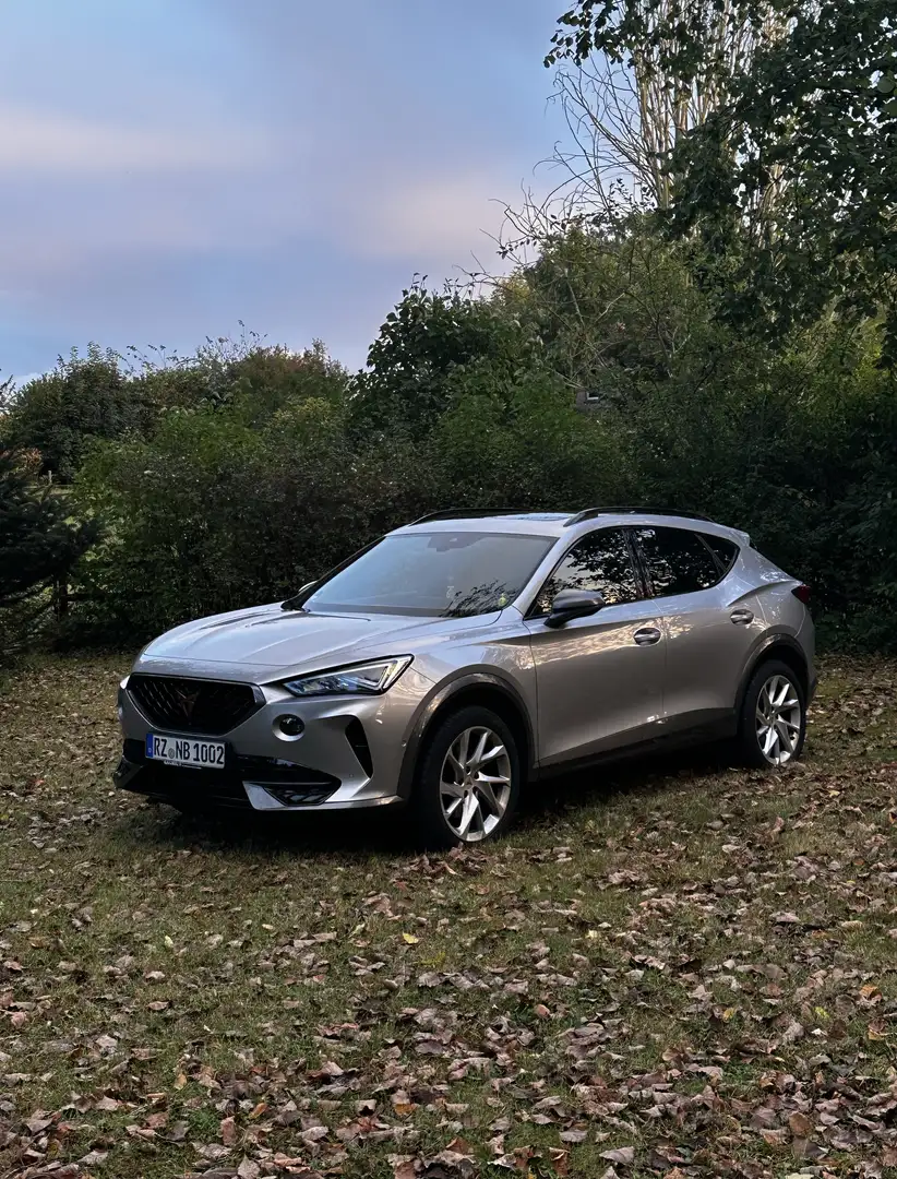 CUPRA Formentor Basis Grau - 1