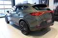 CUPRA Formentor VZ 2.0TSI TribeEdition NAVI/HIFI/SDEL Klima Navi Grau - thumbnail 2