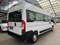 Peugeot Boxer 335 2.2 BlueHDi  Pro vergl.L3H2 3,5t Weiß - thumbnail 5