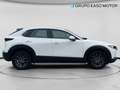 Mazda CX-30 2.5L e-SKYACT G MHEV 140CV AT Prime-Line Blanco - thumbnail 6