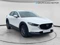 Mazda CX-30 2.5L e-SKYACT G MHEV 140CV AT Prime-Line Blanco - thumbnail 7