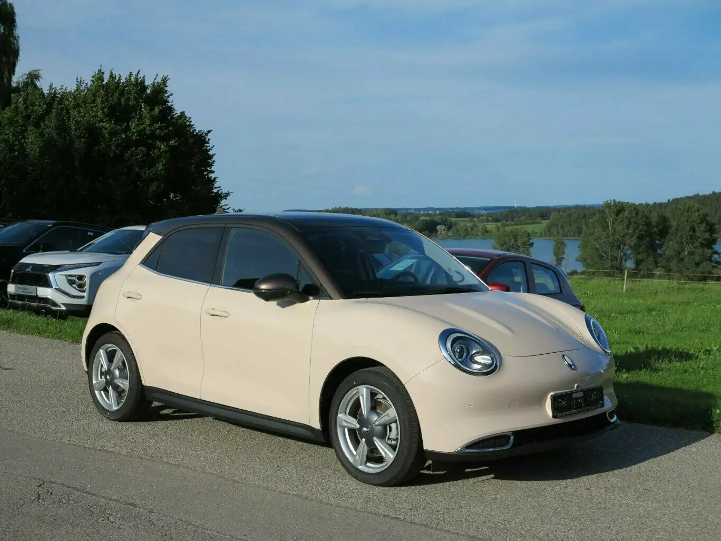 GWM ORA 03 400 PRO, Sonderaktion Beige - 2