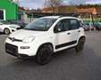 Fiat Panda Wild 4x4 Klima 1.Bestiz Weiß - thumbnail 4