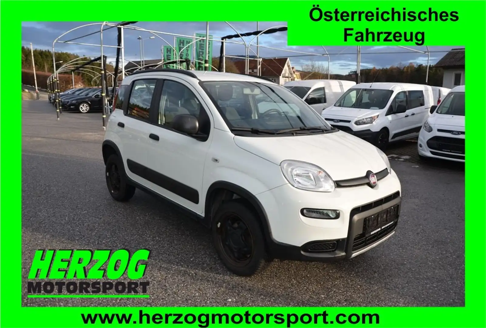 Fiat Panda Wild 4x4 Klima 1.Bestiz Weiß - 1