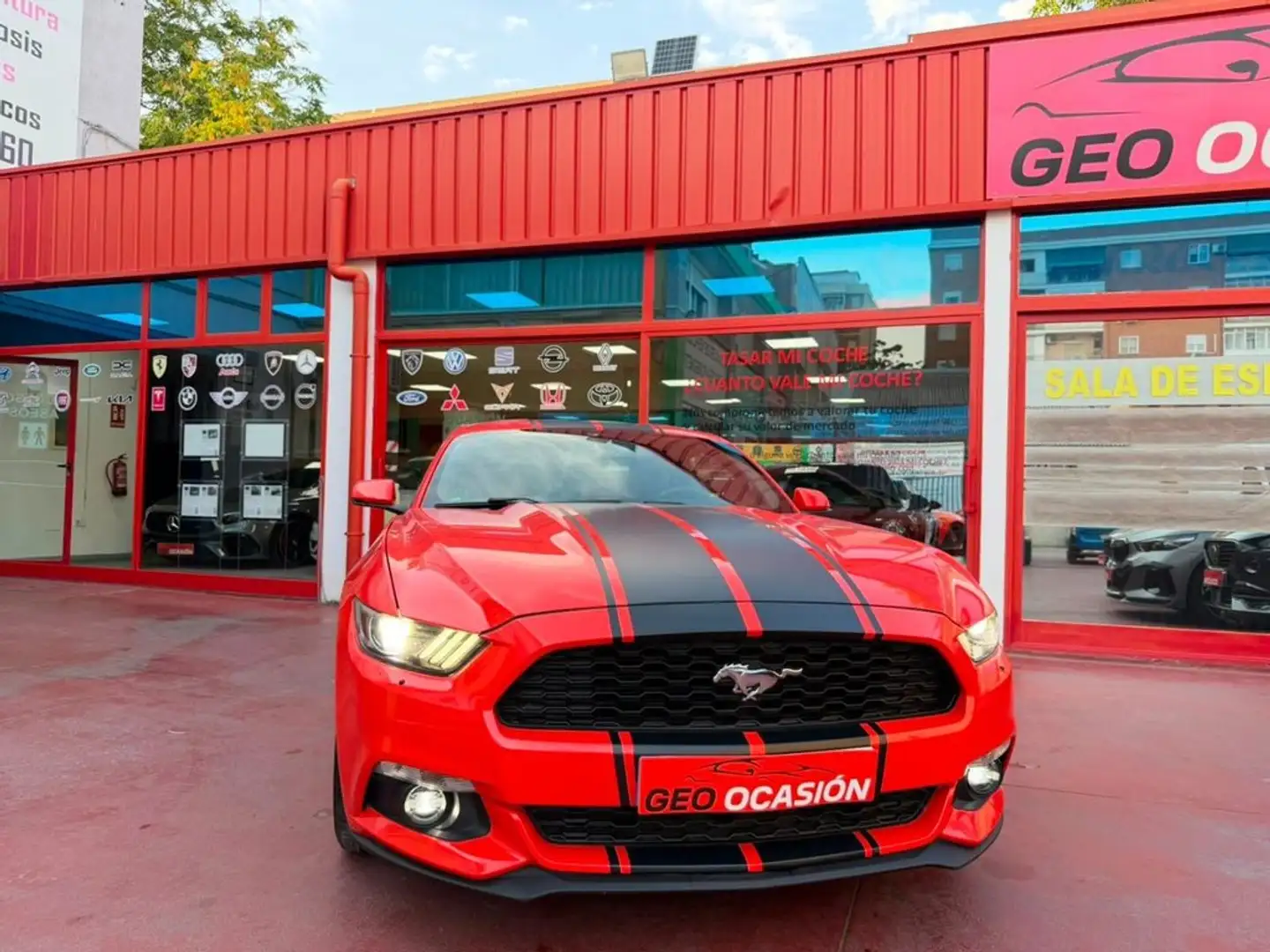 Ford Mustang 2.3 EcoBoost 314cv  Aut. Fastb. Naranja - 2