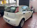 Fiat Punto 5p 1.3 mjt II 16v Lounge 75cv - thumbnail 4