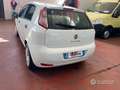 Fiat Punto 5p 1.3 mjt II 16v Lounge 75cv - thumbnail 3