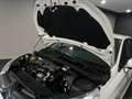 Citroen C4 1.6 HDi 90 Seduction Bianco - thumbnail 13