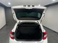 Citroen C4 1.6 HDi 90 Seduction Bianco - thumbnail 12