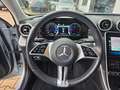 Mercedes-Benz C 200 T d AVANTGARDE/1.HD/St.Hzg/Business-P/18'' Plateado - thumbnail 11