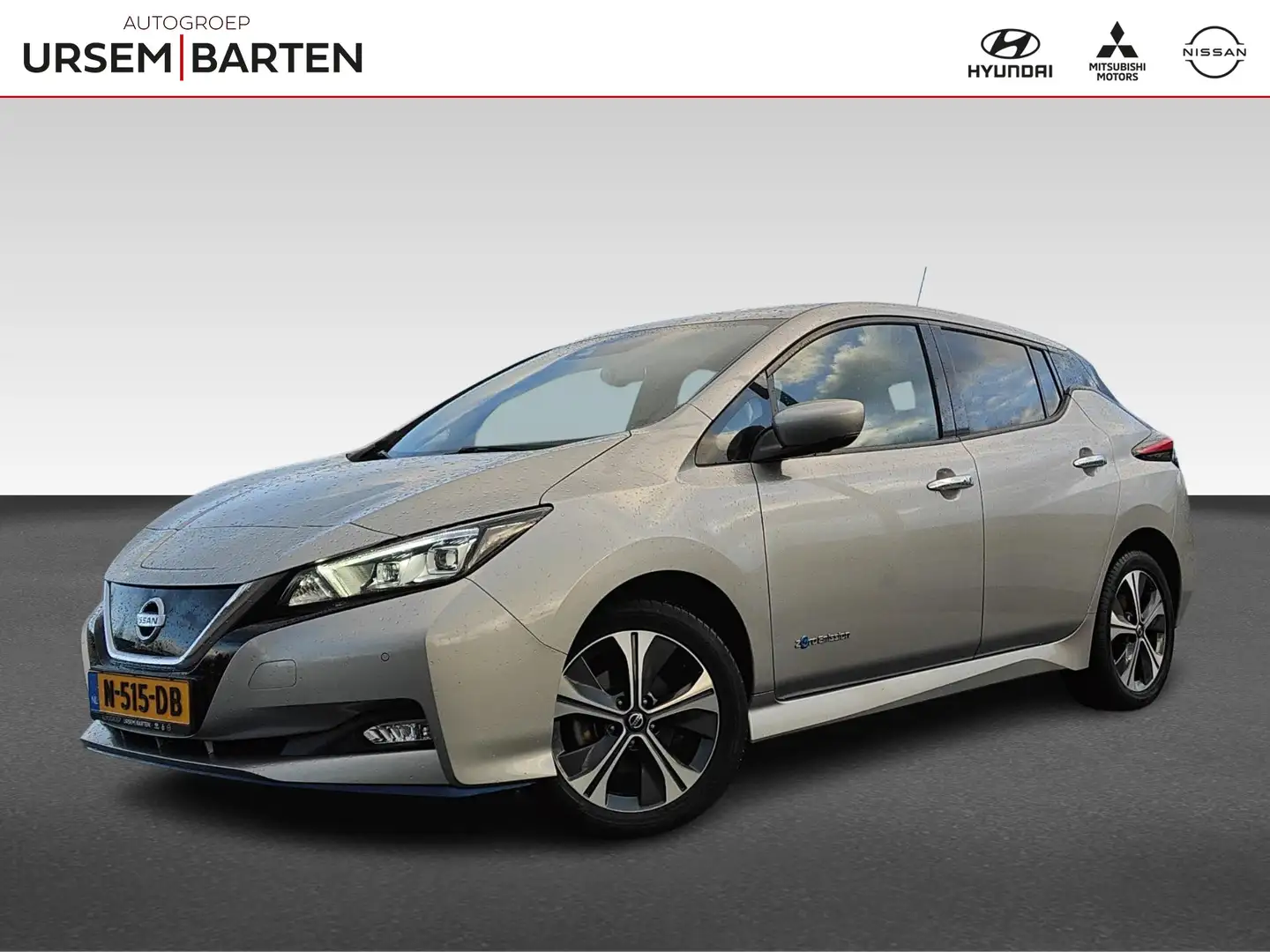 Nissan Leaf e+ Tekna 62 kWh Grijs - 1