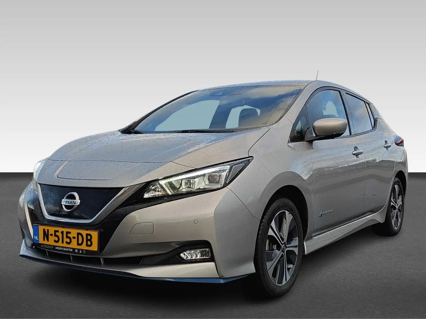 Nissan Leaf e+ Tekna 62 kWh Grijs - 2