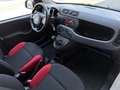 Fiat Panda 1.2 69 Cv Pop Weiß - thumbnail 8